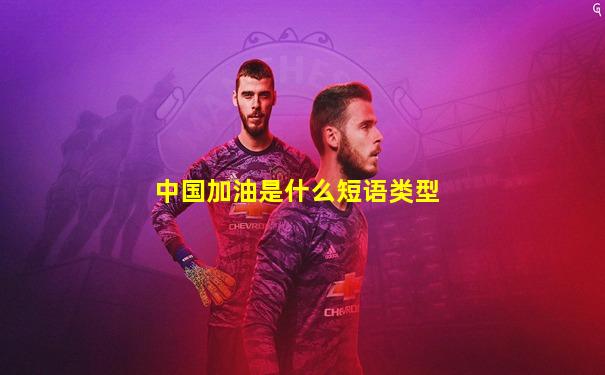 中国加油是什么短语类型