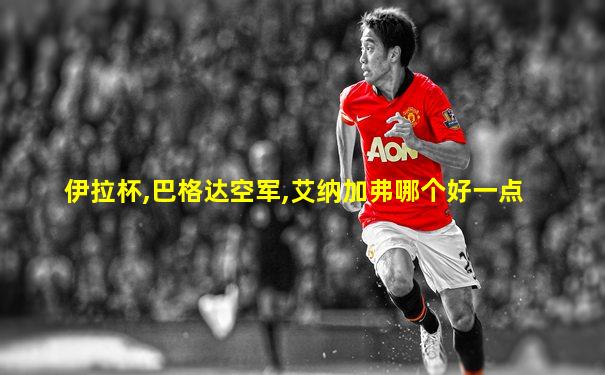 伊拉杯,巴格达空军,艾纳加弗哪个好一点