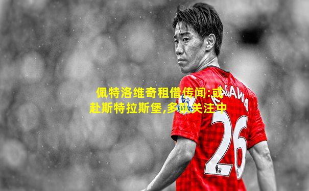 佩特洛维奇租借传闻:或赴斯特拉斯堡,多队关注中