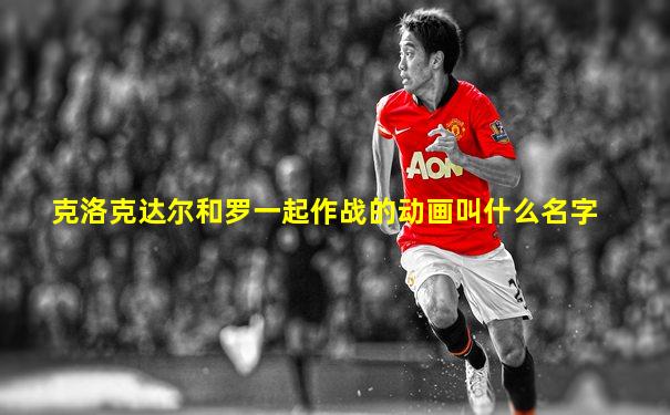 克洛克达尔和罗一起作战的动画叫什么名字