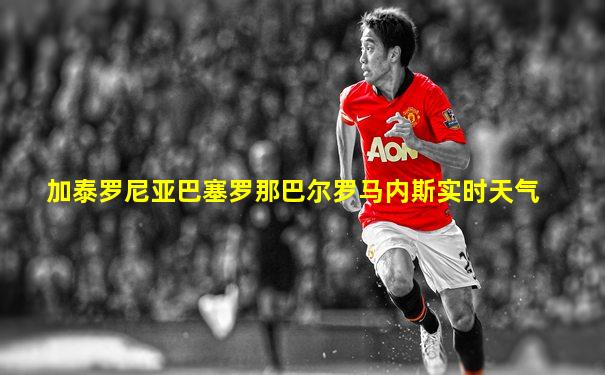 加泰罗尼亚巴塞罗那巴尔罗马内斯实时天气