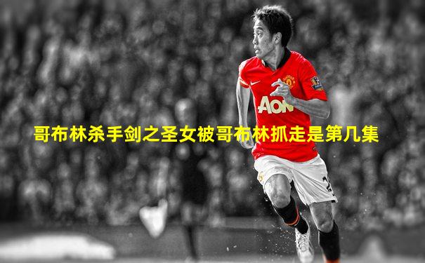 哥布林杀手剑之圣女被哥布林抓走是第几集
