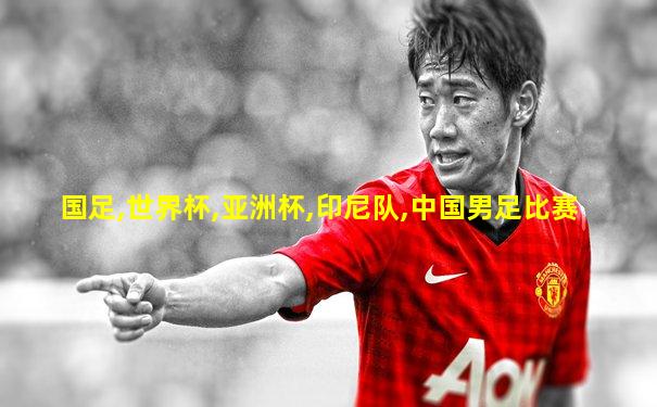 国足,世界杯,亚洲杯,印尼队,中国男足比赛