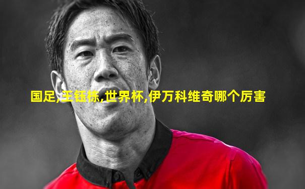 国足,王钰栋,世界杯,伊万科维奇哪个厉害