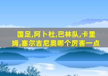国足,阿卜杜,巴林队,卡里姆,塞尔吉尼奥哪个厉害一点
