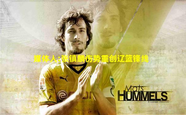媒体人:张镇麟伤势重创辽篮锋线