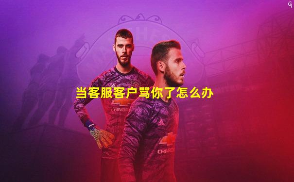 当客服客户骂你了怎么办