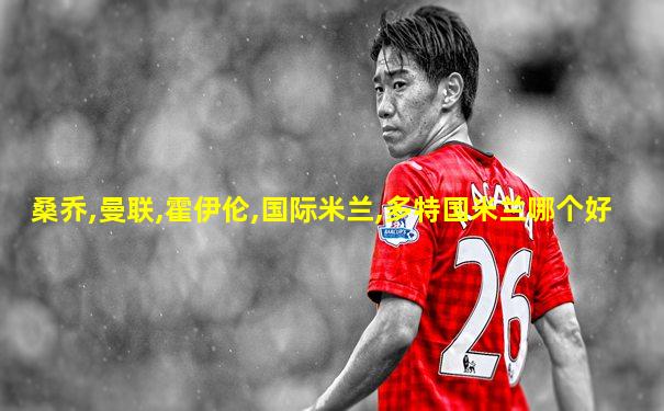 桑乔,曼联,霍伊伦,国际米兰,多特国米兰哪个好