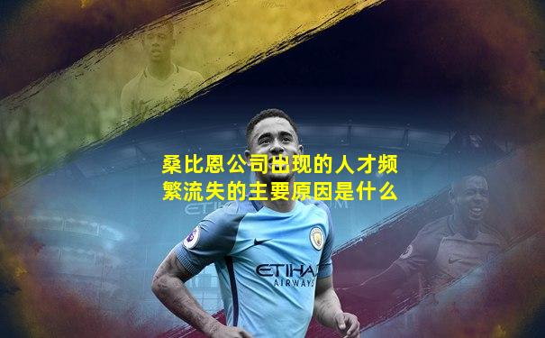 桑比恩公司出现的人才频繁流失的主要原因是什么