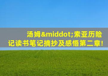 汤姆·索亚历险记读书笔记摘抄及感悟第二章!