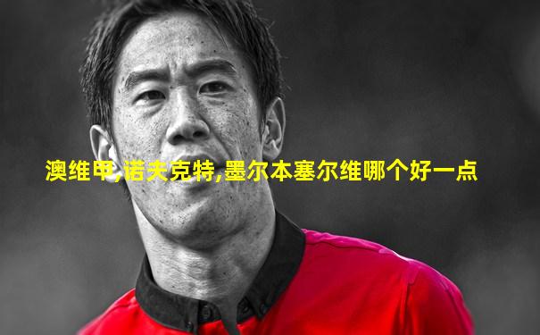 澳维甲,诺夫克特,墨尔本塞尔维哪个好一点
