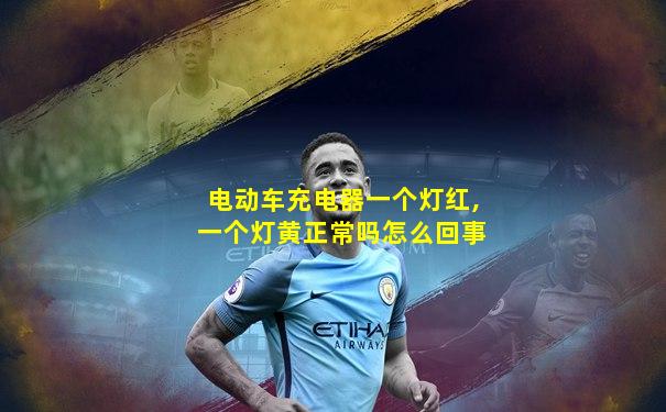 电动车充电器一个灯红,一个灯黄正常吗怎么回事