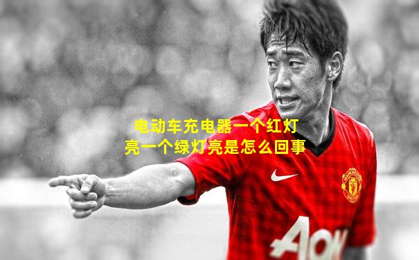 电动车充电器一个红灯亮一个绿灯亮是怎么回事