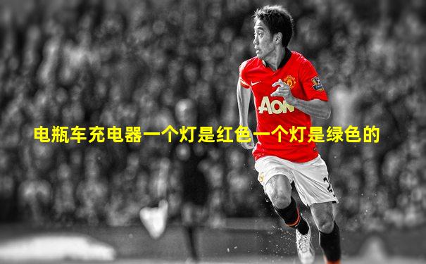 电瓶车充电器一个灯是红色一个灯是绿色的