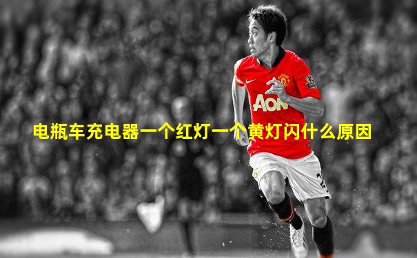 电瓶车充电器一个红灯一个黄灯闪什么原因
