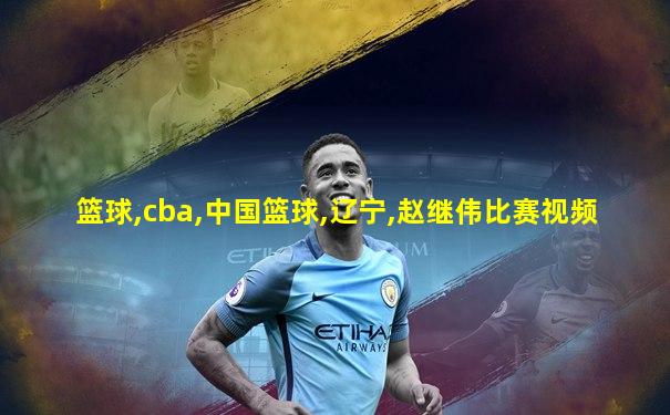 篮球,cba,中国篮球,辽宁,赵继伟比赛视频