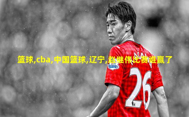篮球,cba,中国篮球,辽宁,赵继伟比赛谁赢了