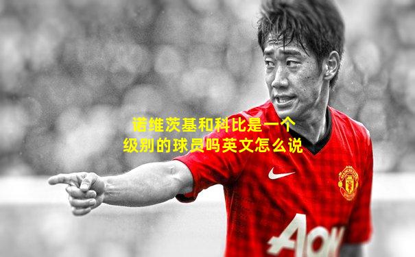 诺维茨基和科比是一个级别的球员吗英文怎么说