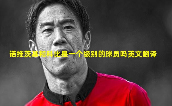 诺维茨基和科比是一个级别的球员吗英文翻译