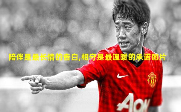 陪伴是最长情的告白,相守是最温暖的承诺图片
