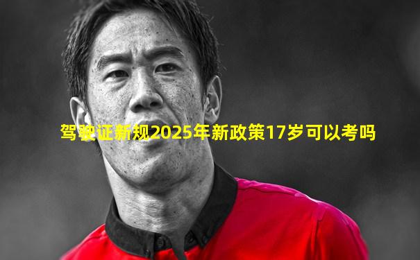 驾驶证新规2025年新政策17岁可以考吗